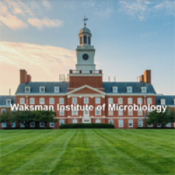 Waksman Institute of Microbiology
