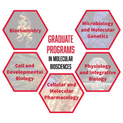 Graduate Programs in Molecular Biosciences