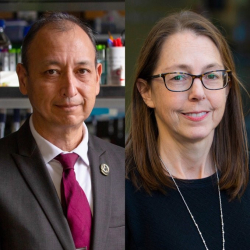 Two DLS Professors Named Fellows of the American Association for the Advancement of Science